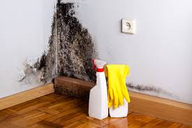 Best Mold Documentation for Insurance Claims  in Bal Harbour, FL